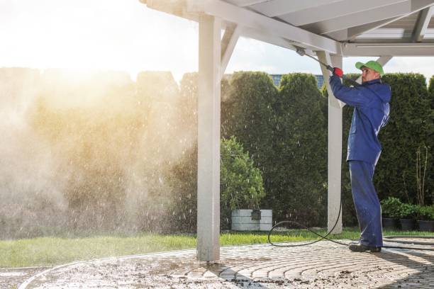 Best Restaurant Pressure Washing  in Citrus Park, AZ